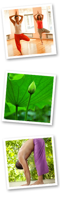 workshops image